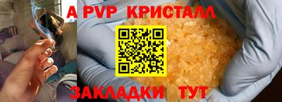 СК Будённовск