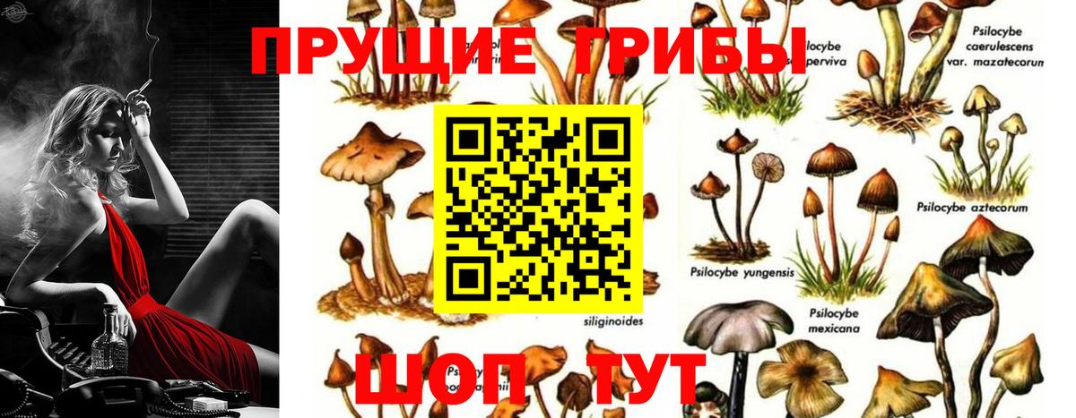 Барабинск  Галлюциногенные грибы мухоморы  Вход с VPN 